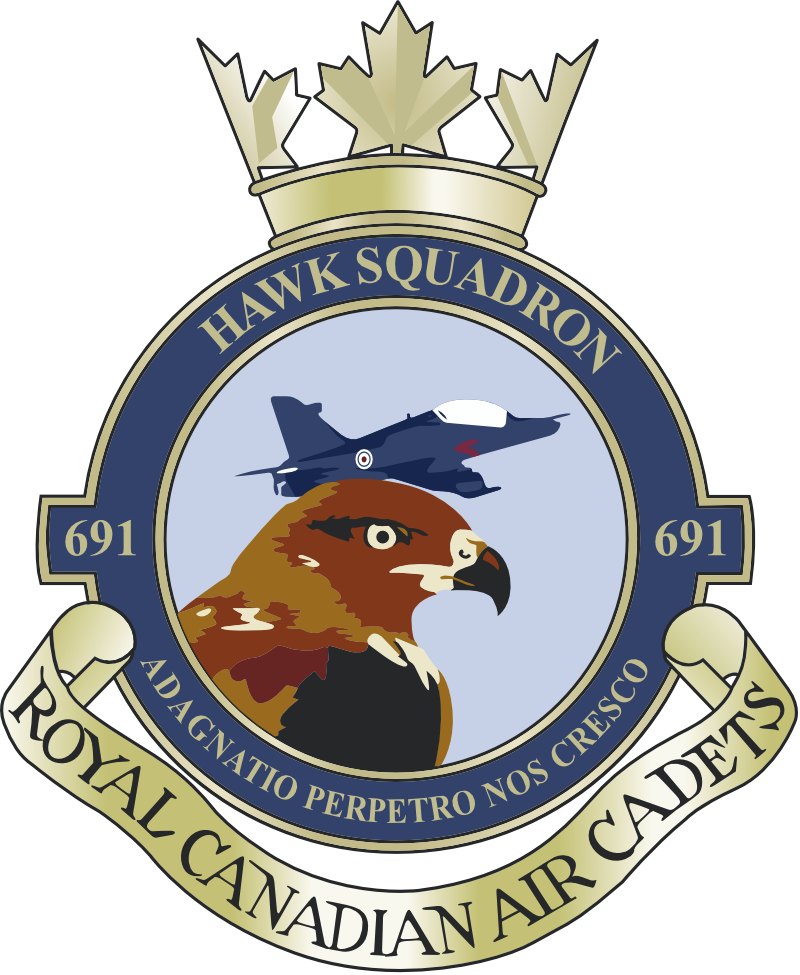 Badge for 691 Hawk Royal Canadian Air Cadet Squadron